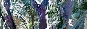 magic forest